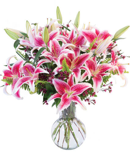 Sincere Stargazers Bouquet in Manistique, MI - Flowers By Jodi